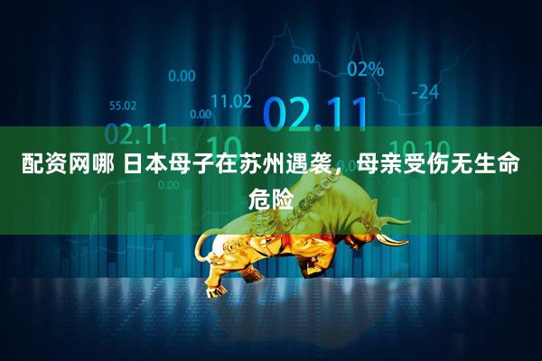 配资网哪 日本母子在苏州遇袭，母亲受伤无生命危险